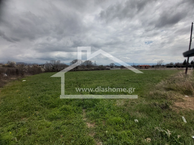 property-img